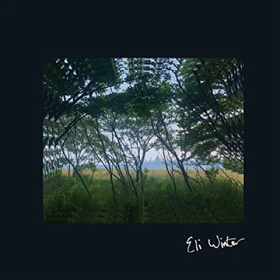 Afbeelding van Eli Winter (LP)