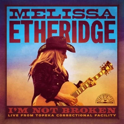 Afbeelding van Melissa Etheridge I&#039;m Not Broken (2 LPs)