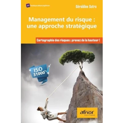 Afbeelding van Management du risque : une approche stratégique