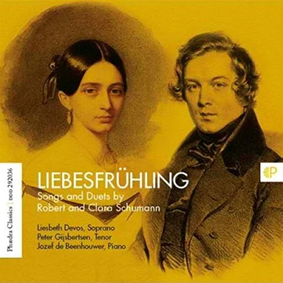 Afbeelding van Johan Duijck In Flanders&#039; Fields 36: The Well Tempered Pianist (CD)