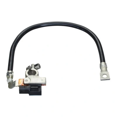 Afbeelding van Hella Sensor accumanagement 6PK 010 562 941