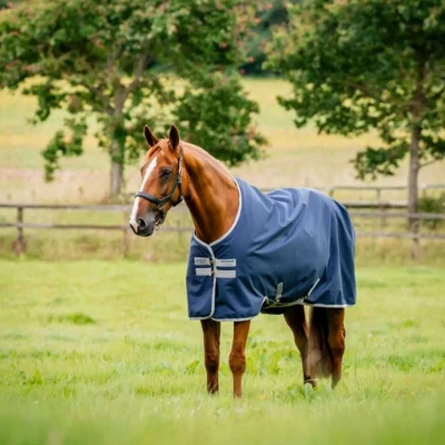 Afbeelding van Horseware Regendeken Amigo Ripstop 900 Original 50g Marineblauw/Grijs