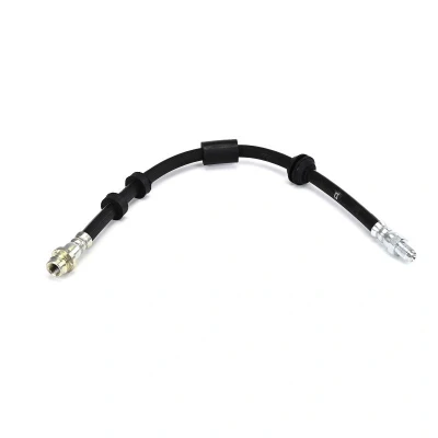 Afbeelding van DELPHI LH8006 Remslang 420mm M10x1 120 SF FORD: MONDEO 4