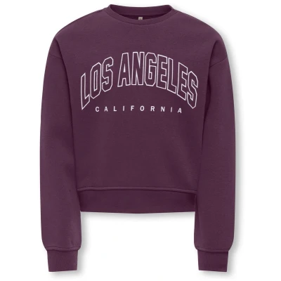 Afbeelding van ONLY KOGSWEAT LIFE LS CREW OVZ STAT SWT NOOS Meisjes Trui Mauve Wine Los Angeles California