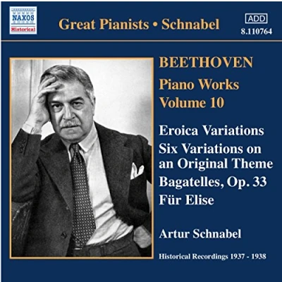Afbeelding van Artur Schnabel Piano Works 10 (CD)