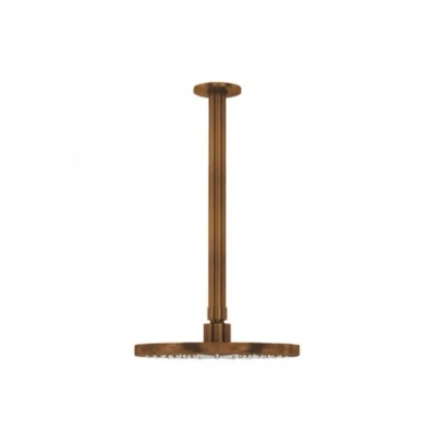 Afbeelding van Waterevolution Flow hoofddouche 250mm met plafondaansluiting geborsteld koper T164225CPE