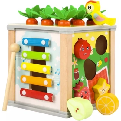Afbeelding van Kruzzel Educatieve houten blok sorter 22566