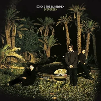 Afbeelding van Echo &amp; The Bunnymen Evergreen (CD)