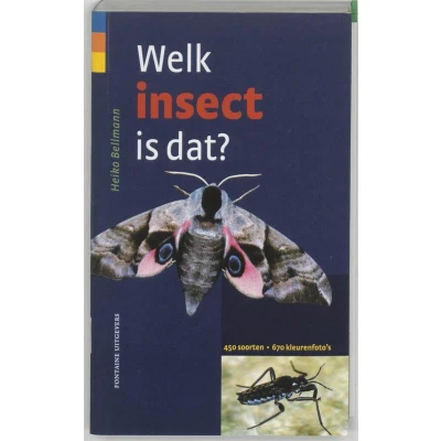Afbeelding van Welk insect is dat?