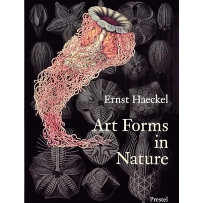 Afbeelding van Art Forms In Nature Ernst Haeckel