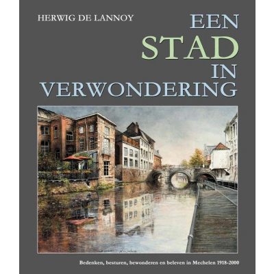 Afbeelding van Een stad in verwondering