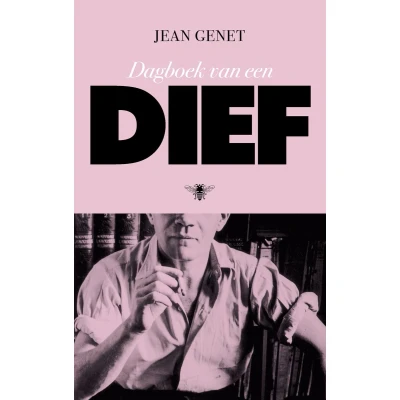 Afbeelding van Dagboek van een dief