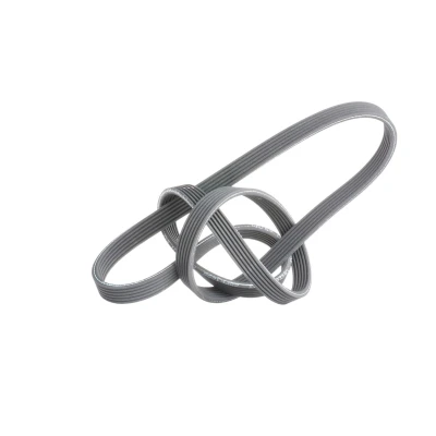 Afbeelding van Gates Poly V riem 6DPK1698