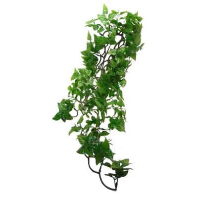 Afbeelding van Komodo Plant Split Philodendron 60 cm