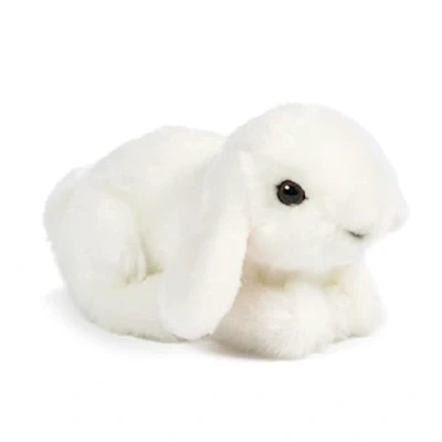 Afbeelding van Pluche konijn wit knuffel 16 cm Knuffeldieren Huisdieren knuffels Speelgoed voor kind