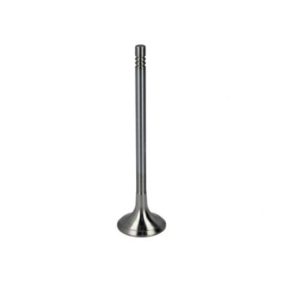 Afbeelding van Uitlaatklep FRECCIA R6621/RCR