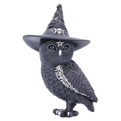 Afbeelding van Nemesis Now Owlocen Zwarte Uil met Heksenmuts Figuur 13.5cm