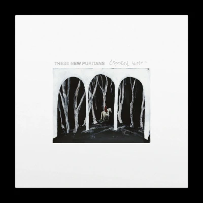 Afbeelding van These New Puritans Crooked Wing (Clear Vinyl)