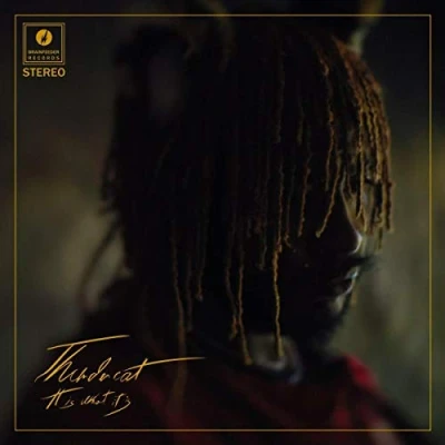 Afbeelding van Thundercat It Is What (CD)
