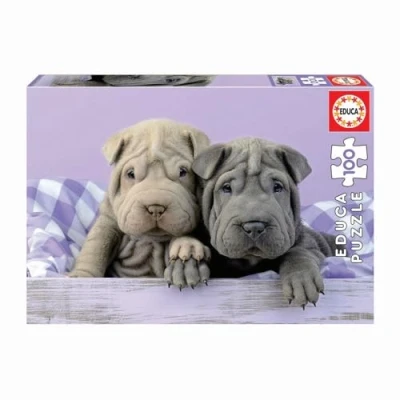 Afbeelding van Educa 18063 puzzel 100 stuk(s)