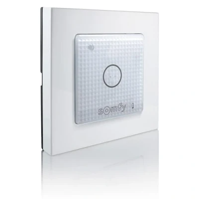 Afbeelding van Somfy Smoove Lighting io 1822651 Draadloos alarmsysteem (uitbreiding) Draadloze wandschakelaar