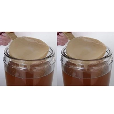 Afbeelding van 2 x SCOBY Kombucha schijf + handleiding recepten hulp en tips in het Frans KEFIRALIA®