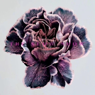 Afbeelding van The Slow Show Still Life (CD)