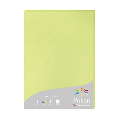 Afbeelding van Clairefontaine 224205C Etui met 25 vellen, formaat A4 (21 x 29,7 cm), 210 g/m², kleur: Bourgeon groen, uitnodigingspapier, correspondentie, pollen serie, glad premium papier