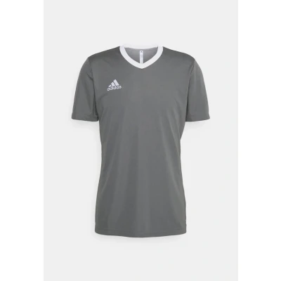 Afbeelding van adidas Performance Entrada 22 Sport Tshirt, Heren, Maat: Large, Team grey four