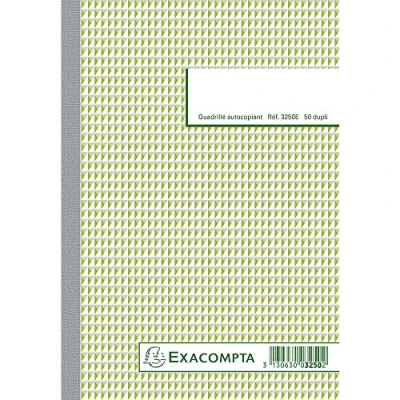 Image de Manifold Exacompta 50 feuillets 5x5cm 21x14,8cm Dupli