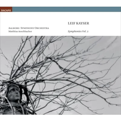 Afbeelding van Aalborg Symphony Orchestra, Matthias Aeschbacher Kayser: Symphonies Vol.2 (CD)