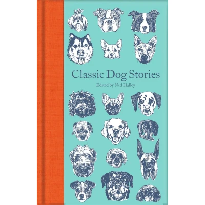 Afbeelding van Macmillan Collector&#039;s Library Classic Dog Stories