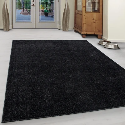 Afbeelding van Basics Effen Vloerkleed Antraciet Laagpolig 200x290 cm
