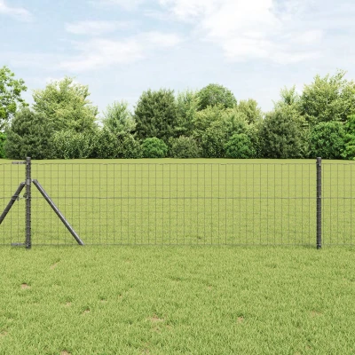 Afbeelding van vidaXL Euro Hek Grijs 0.6x25 m Staal