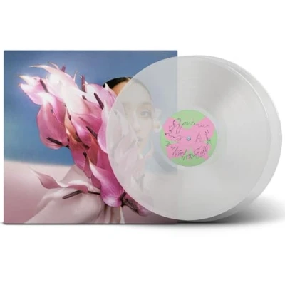 Afbeelding van WHERE THE BUTTERFLIES GO IN RAIN (CLEAR VINYL)