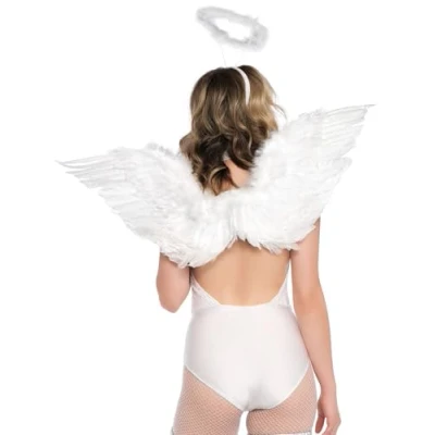Afbeelding van Angel Accessory Kit
