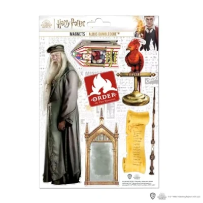 Afbeelding van Harry Potter Magneten Albus Dumbledore
