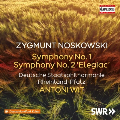 Afbeelding van Deutsche Staatsphilharmonie Rheinland Pfalz Symphony No. 2 Elegiac 1 (CD)