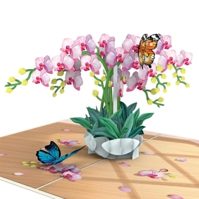 Afbeelding van papercrush® Orchidee pop up kaart met vlinder Elegante 3D verjaardagskaart bloemen en voor vrouwen Speciale wenskaart verjaardag trouwdag