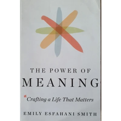 Afbeelding van The Power of Meaning