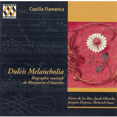 Afbeelding van Capilla Flamenca Dulcis Melancholia (CD)