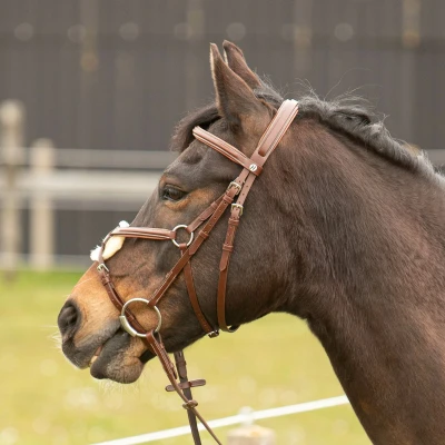 Afbeelding van Harry&#039;s Horse Mexicaans Hoofdstel Bruin Pony