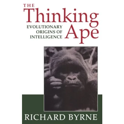 Afbeelding van Thinking Ape