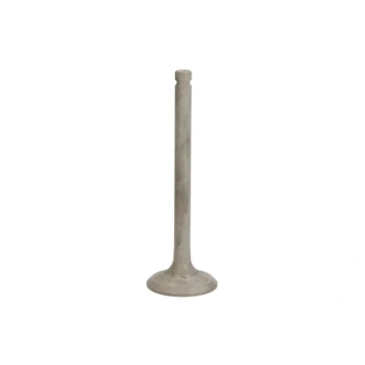 Afbeelding van FRECCIA R6334/RNT Uitlaatklep 35,1 Klepsteel met nitraat verzien
