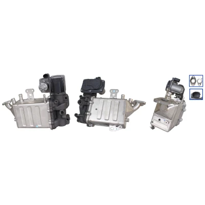 Afbeelding van ELSTOCK 73 0323 EGR klep Electrisch Met pakkingen VOLKSWAGEN: Crafter Van