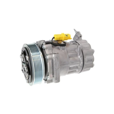 Afbeelding van Valeo Airco compressor 813206