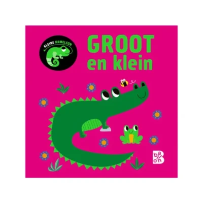 Afbeelding van Groot en klein 1 Kleine kameleon