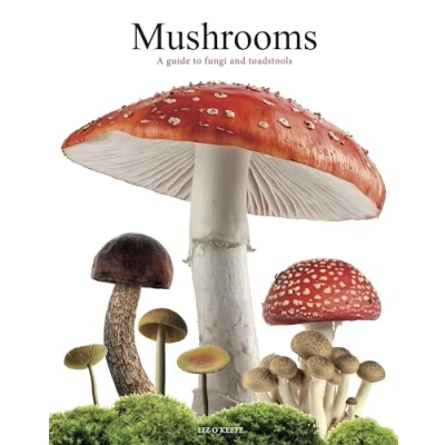 Afbeelding van Mushrooms
