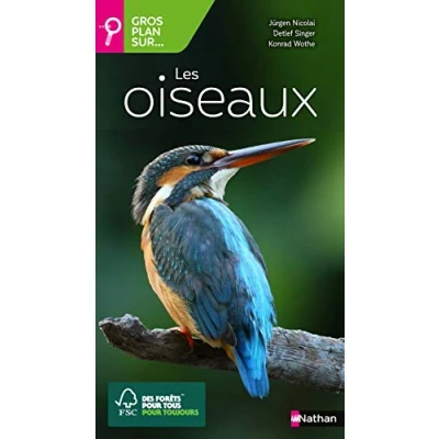 Afbeelding van ISBN 9782092791387 boek Frans Paperback 256 pagina&#039;s