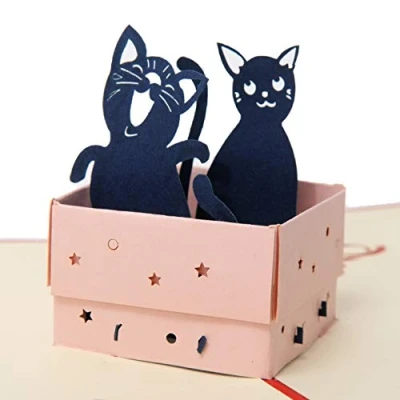 Afbeelding van Favour Pop Up® 3D wenskaart voor verjaardag met vrolijke driedimensionale kattenmotieven TB016